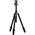 Nest Professioneel Carbon Tripod NT-6294CK + Ball Head