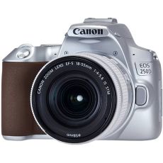 Canon EOS 250D Silver 18-55 S CP