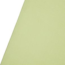 Westcott X-Drop Wrinkle-Resistant Backdrop - Mos Green Sweep